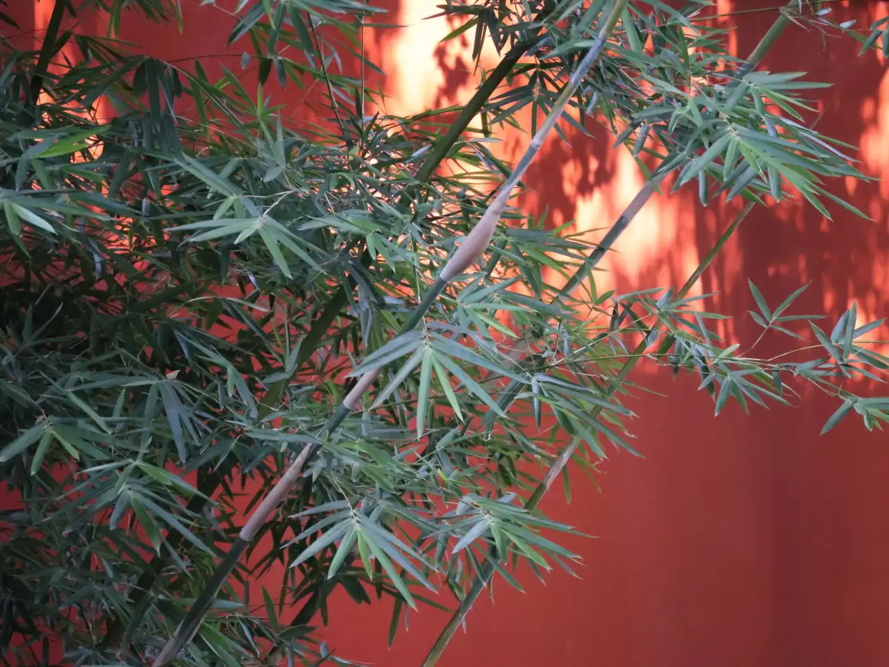 数据中心光模块适配器匹配方案设计与应用实践