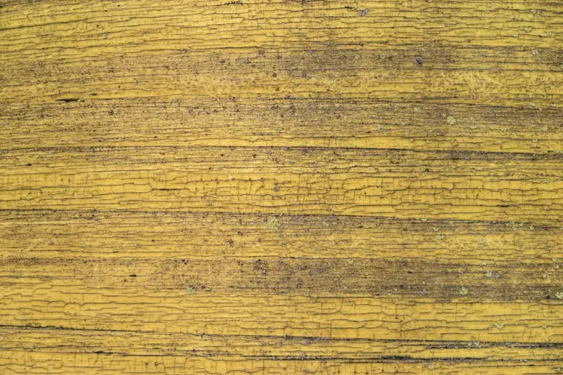 数据中心光器件衰减器性能对比及故障排除指南